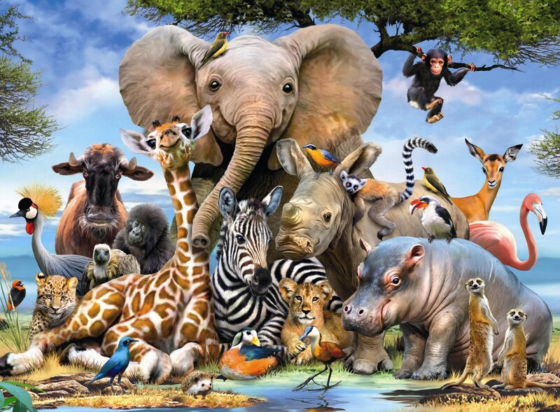 Safari Animals Gathering