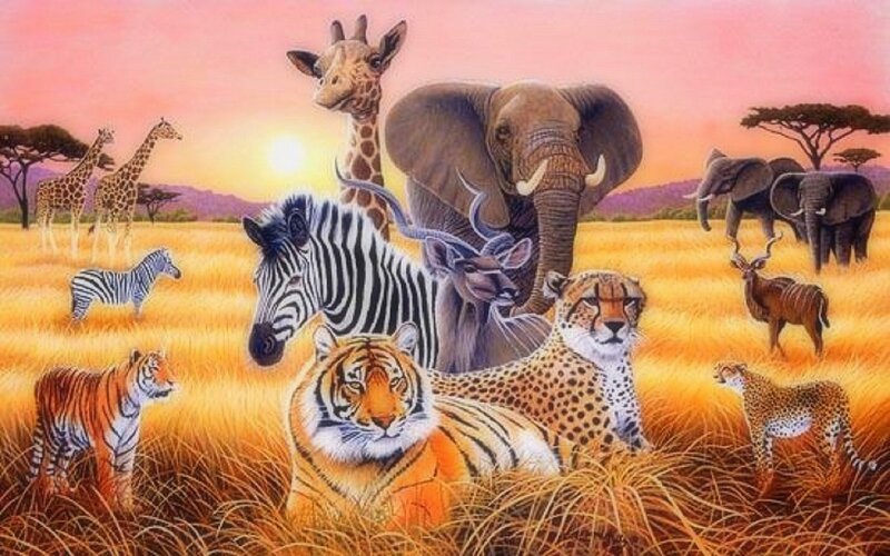 Safari Animals in Grassland