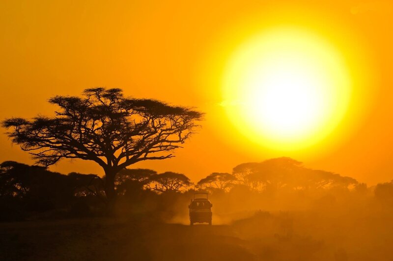 Safari Vehicle in Savanna
