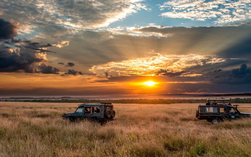 Safari Vehicles in Savanna