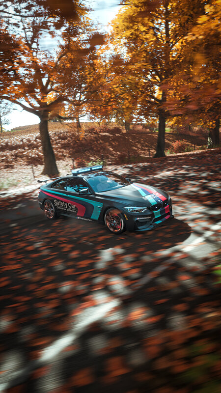 Safety Car on Road