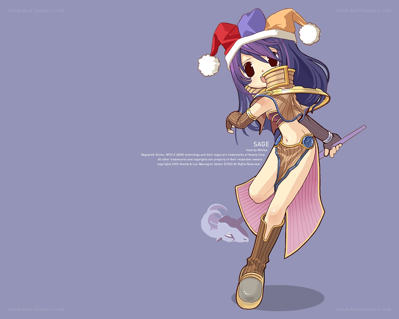 Sage in Santa hat