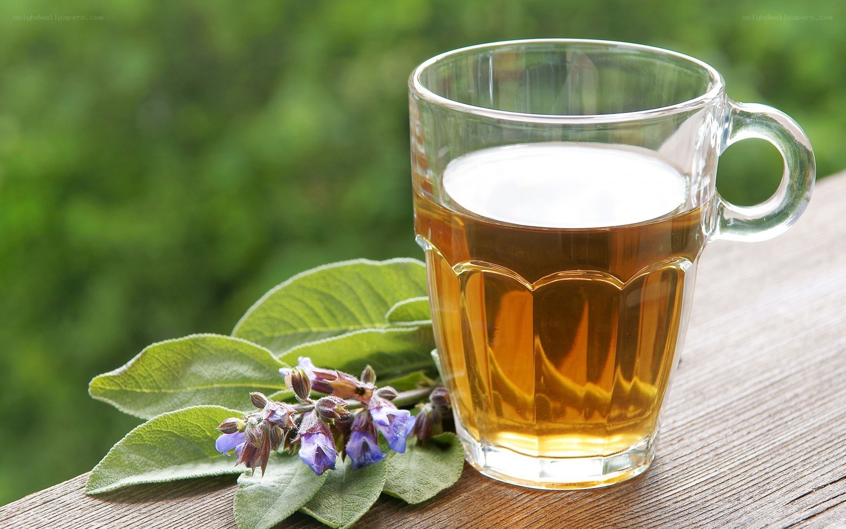 sage tea with fresh herbs