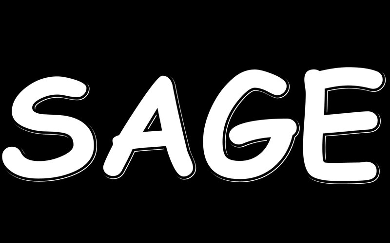 SAGE text logo