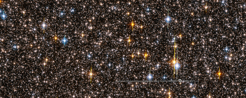 Sagittarius Window Exoplanet Survey