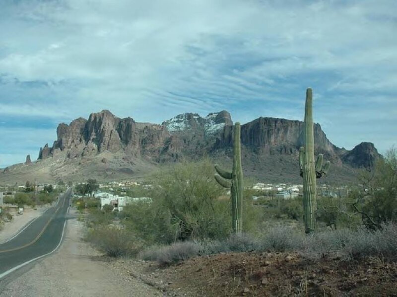 Saguaro Cacti and Mountains
