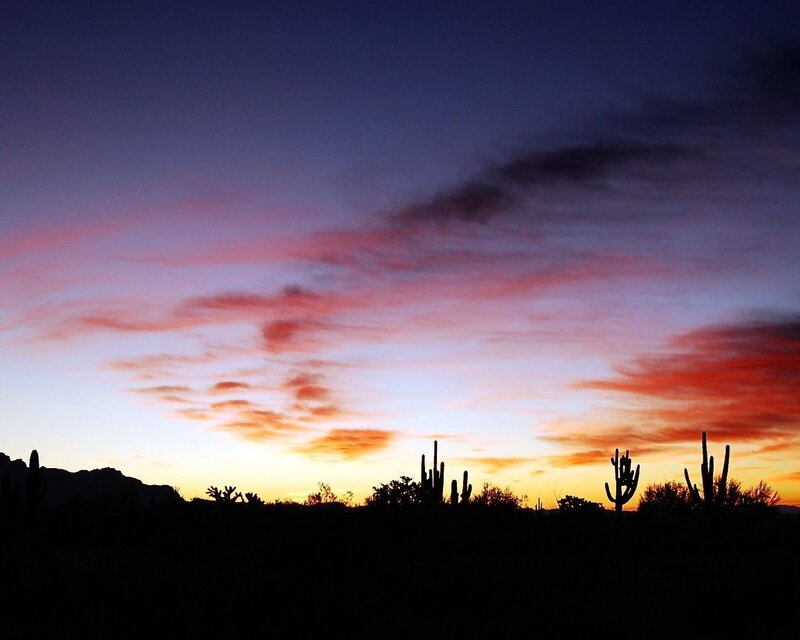Saguaro Cacti at Sunset — Purple, Dramatic, Photograph, Cactus