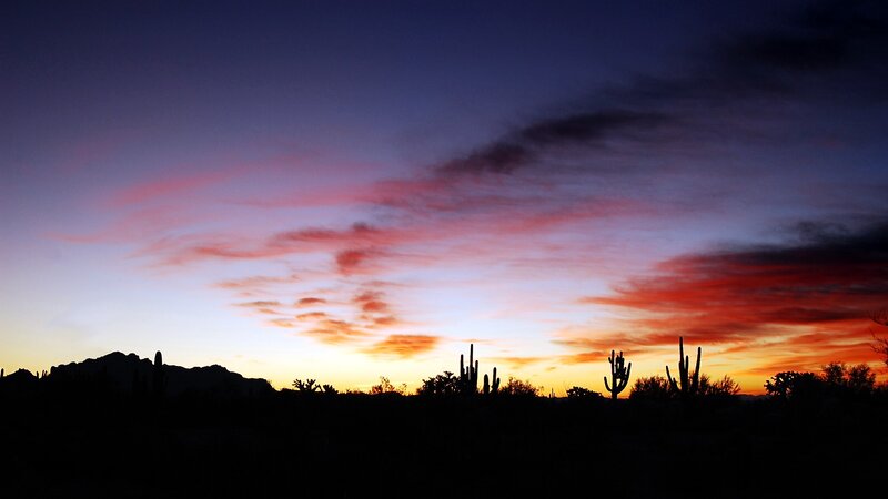 Saguaro Cacti at Sunset — Purple, Dramatic