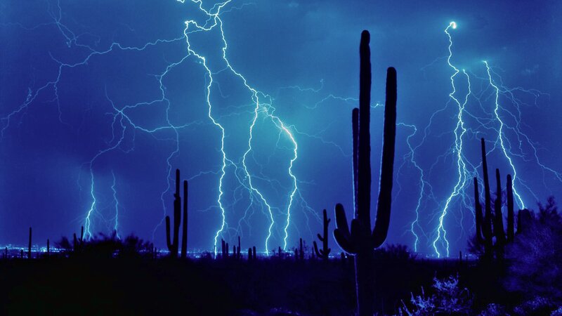 Saguaro Cacti During Storm — Blue, Dramatic, Night, Photograph, Lightning