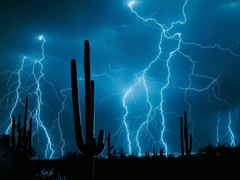 Saguaro Cacti During Storm — Blue, Dramatic, Night