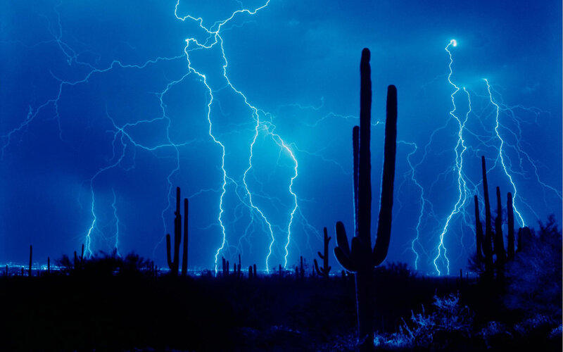 Saguaro Cacti During Storm
