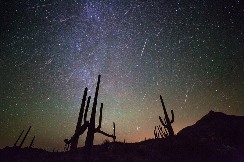 Saguaro Cacti under Meteor Shower