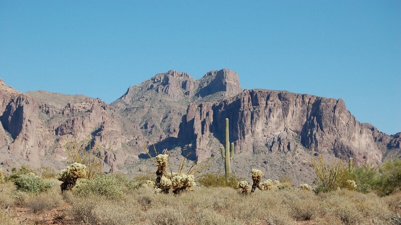 Saguaro Cactus in Desert — Blue, Arid