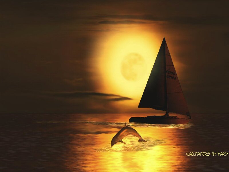 Sailboat and Dolphin