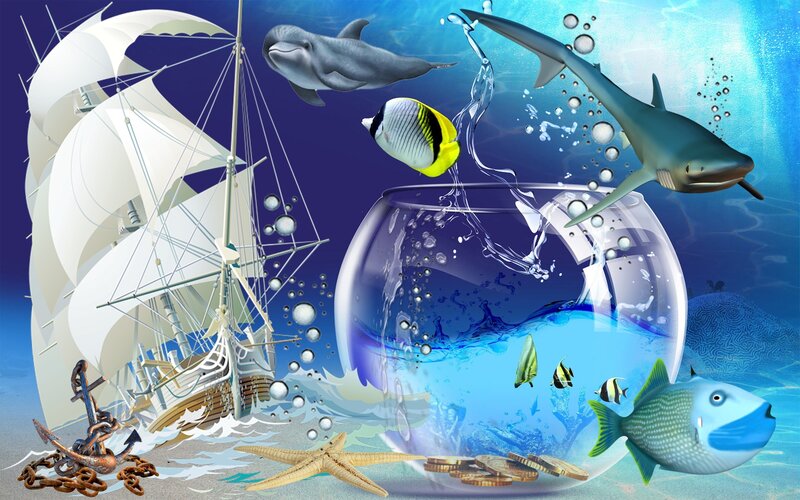 Sailboat and Fish in Bowl