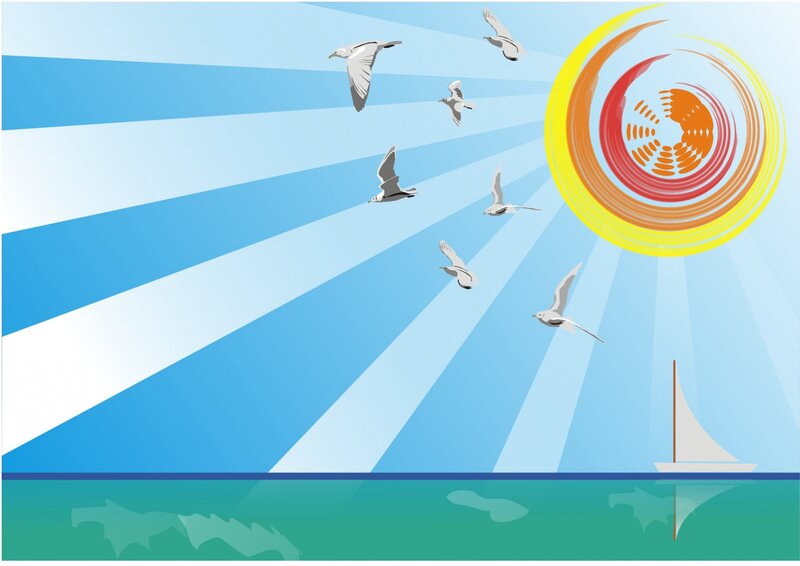 Sailboat and Seagulls
