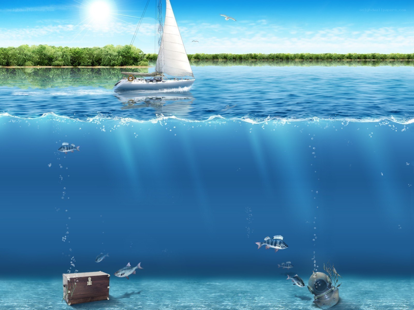 Sailboat and underwater treasure