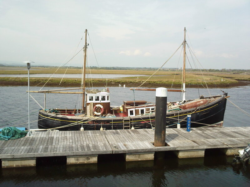 Sailboat at Dock — Brown