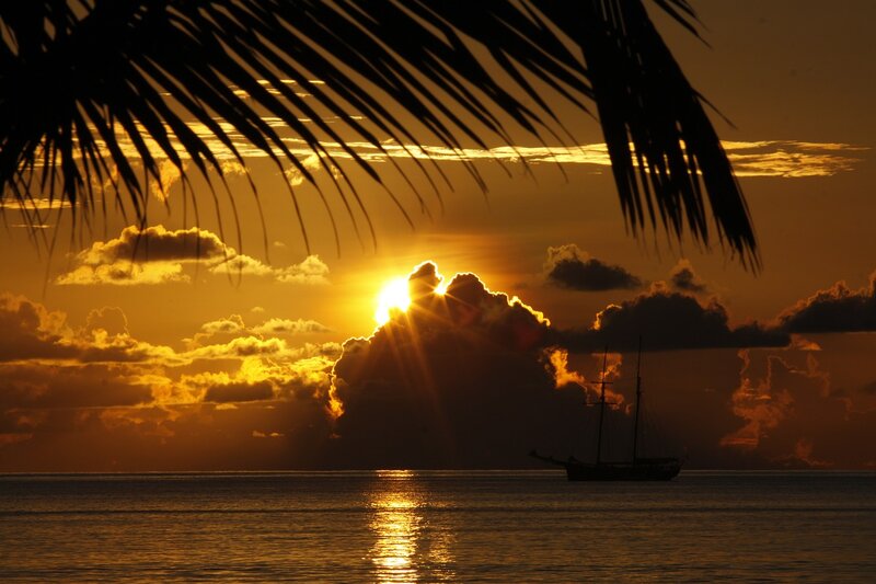 Sailboat at Sunset — Gold, Serene, Photograph, Palm Fronds