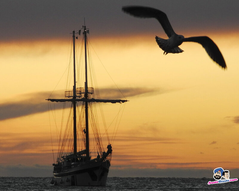Sailboat at Sunset — Orange, Dramatic, Photograph, Seagull