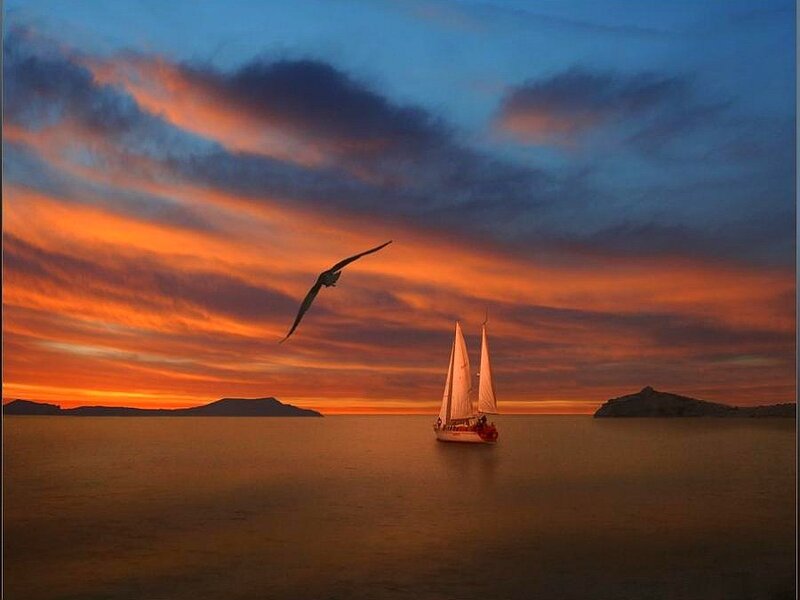 Sailboat at Sunset — Orange, Serene, Photograph, Bird, Island