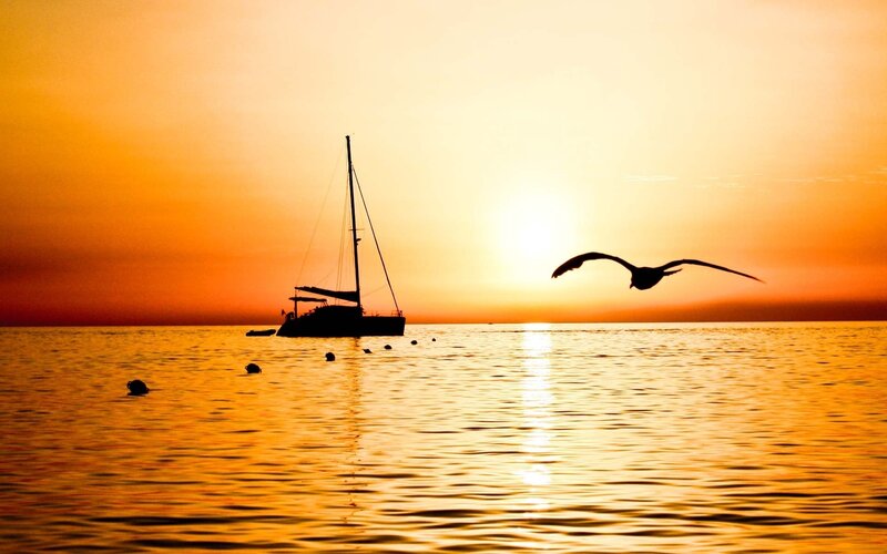 Sailboat at Sunset — Orange, Serene, Photograph, Bird