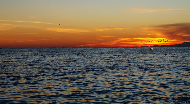 Sailboat at Sunset — Orange, Serene, Photograph, Birds, Mountains