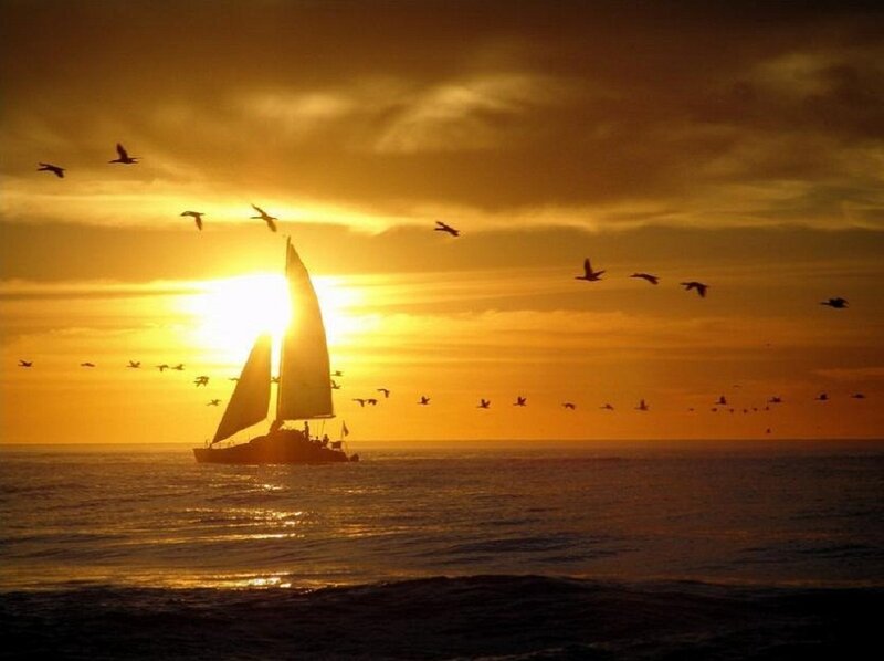 Sailboat at Sunset — Orange, Serene, Photograph, Birds, Ocean