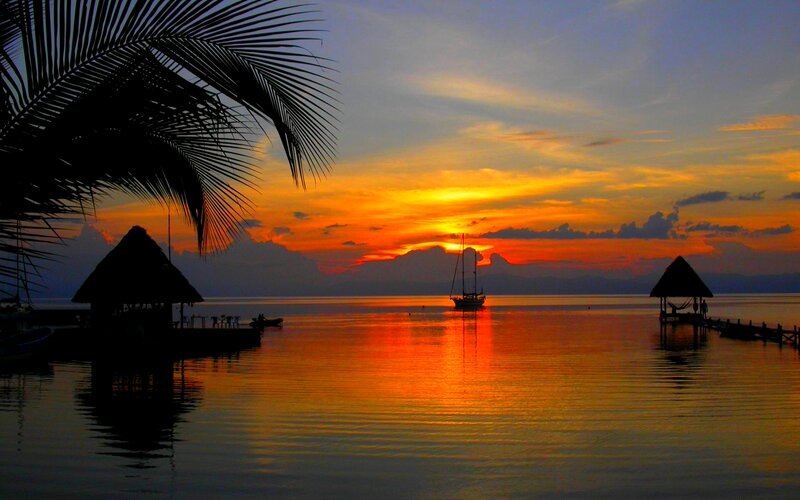 Sailboat at Sunset — Orange, Serene, Photograph, Palm Tree