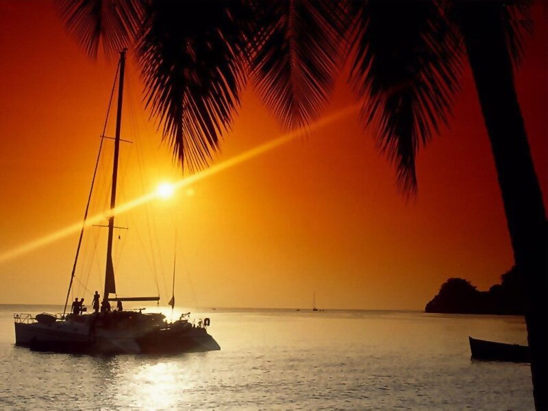 Sailboat at Sunset — Orange, Serene, Photograph, Palm Trees, Ocean