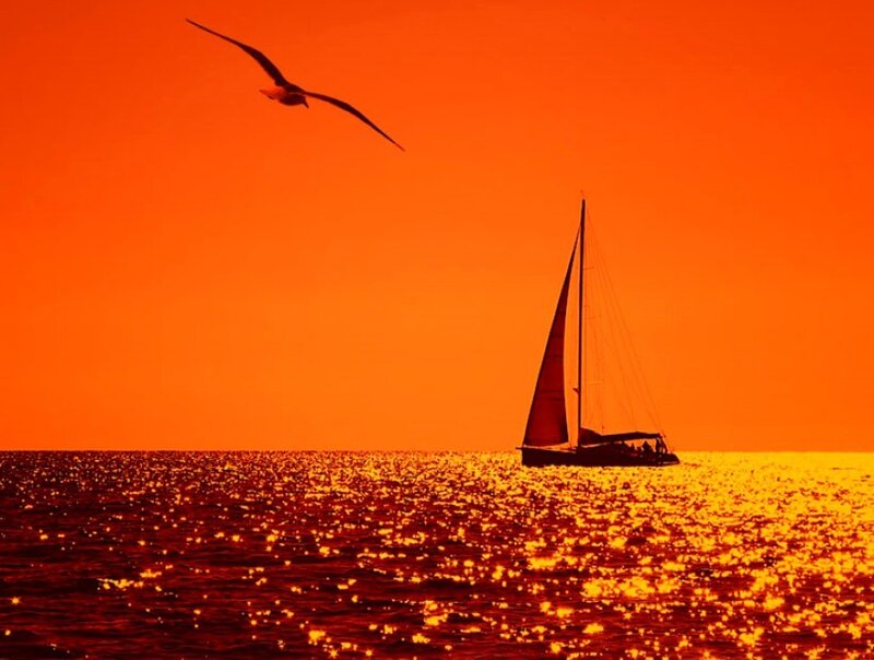 Sailboat at Sunset — Orange, Serene, Photograph, Seagull, Ocean