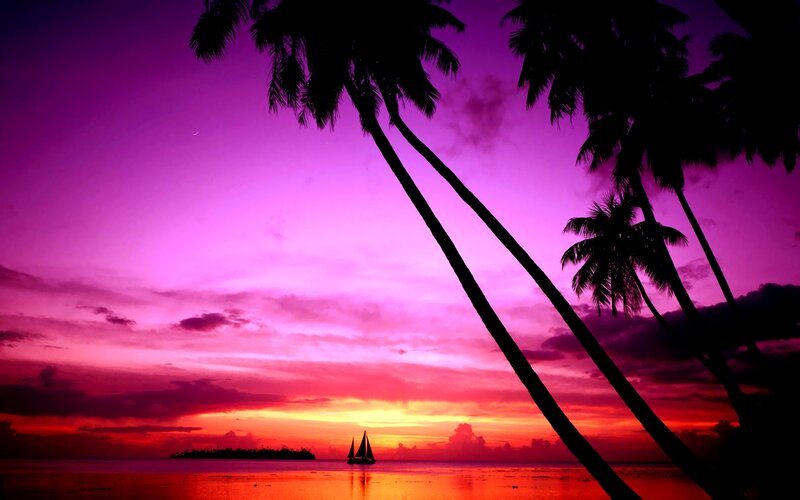 Sailboat at Sunset — Purple, Serene, Photograph, Palm Trees