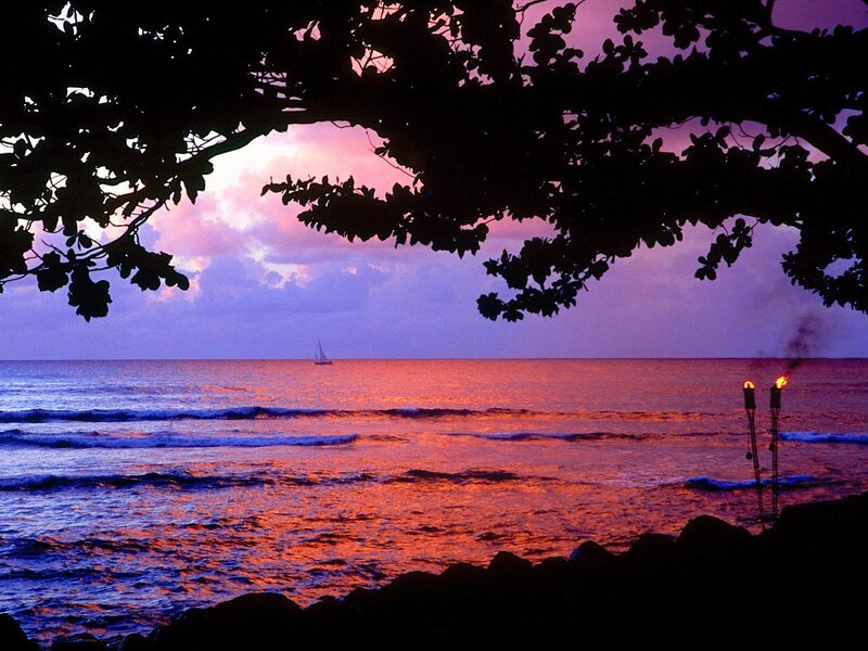 Sailboat at Sunset — Purple, Serene, Photograph, Tree Branches, Tiki Torches