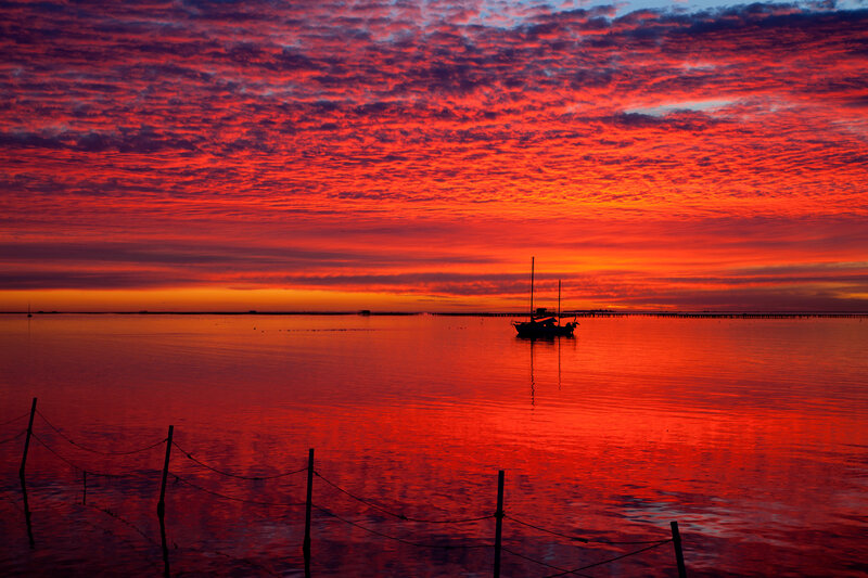 Sailboat at Sunset — Red, Dramatic, Photograph, Boat