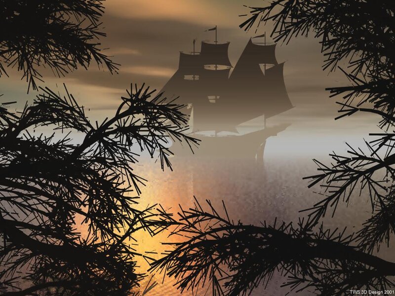 sailboat at sunset through pine branches