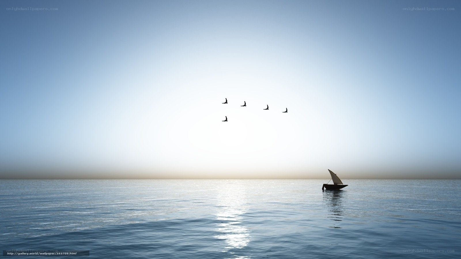 Sailboat at sunset with birds