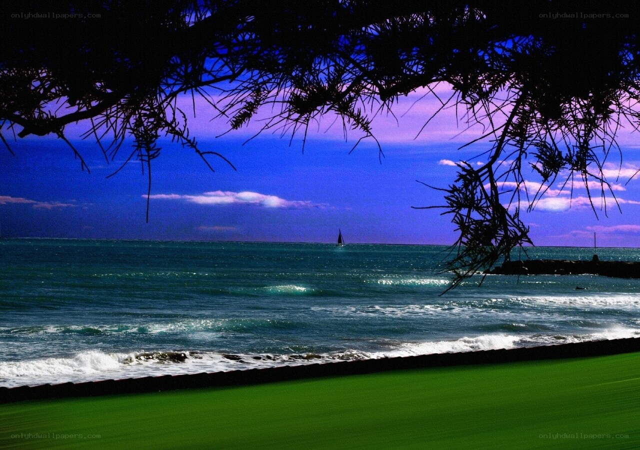 Sailboat at the beach