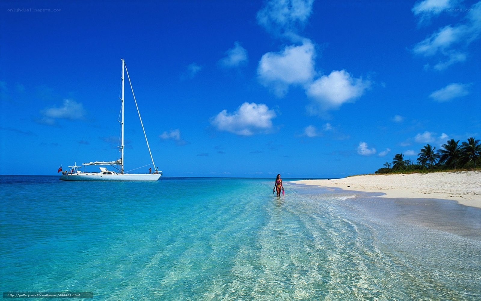 Sailboat at tropical beach