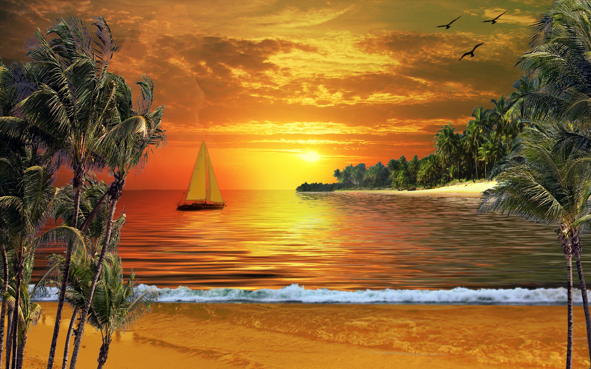 Sailboat at tropical sunset