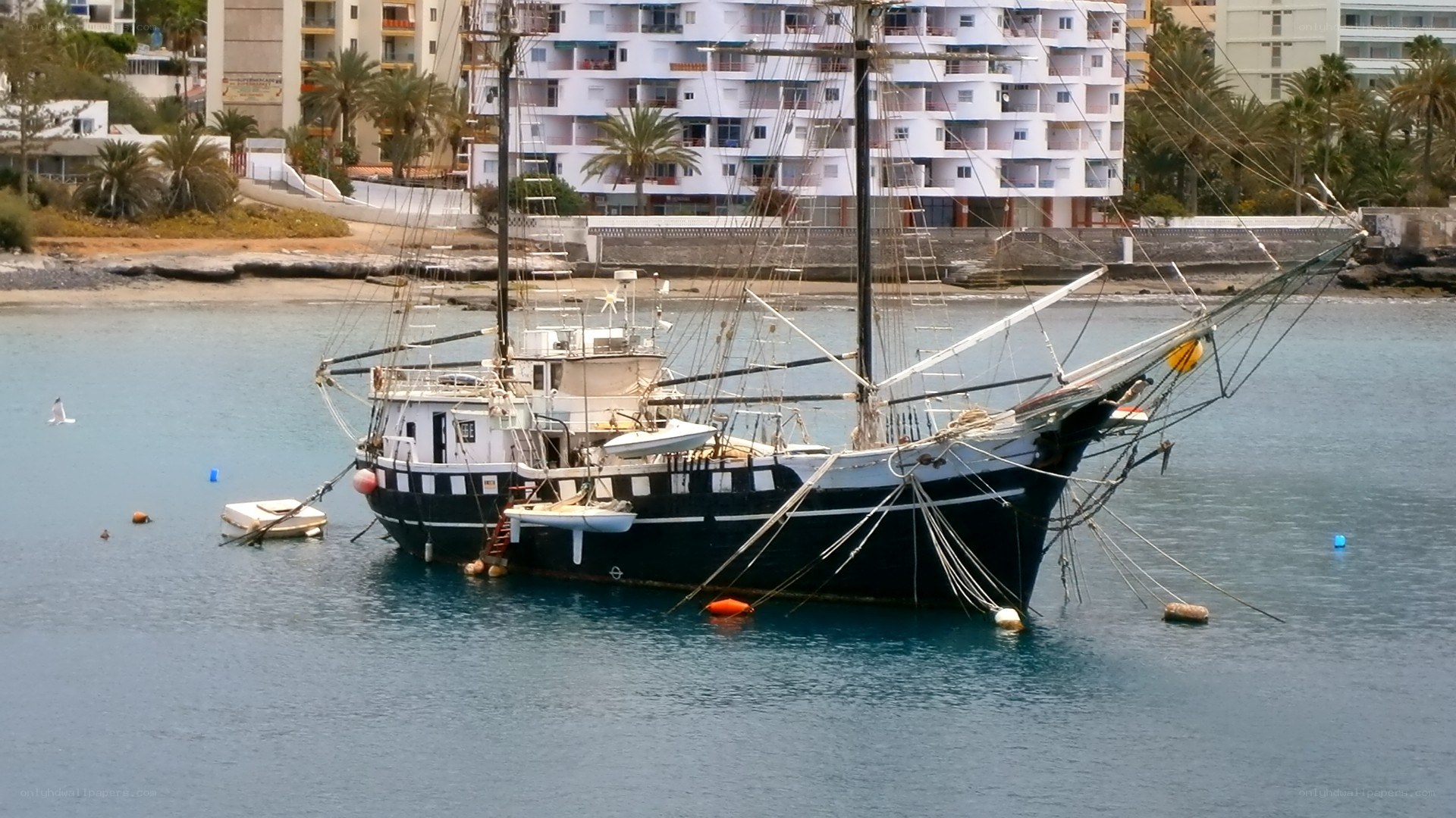 sailboat docked in harbor
