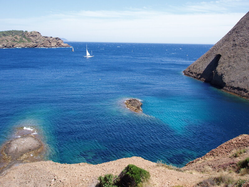 sailboat in a coastal cove