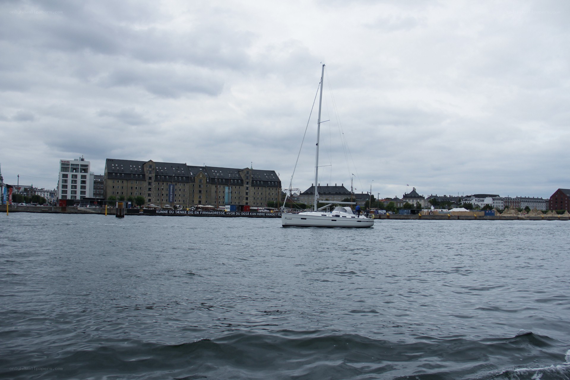 Sailboat in a harbor