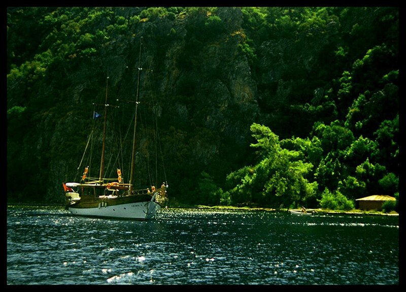 Sailboat in a lush cove