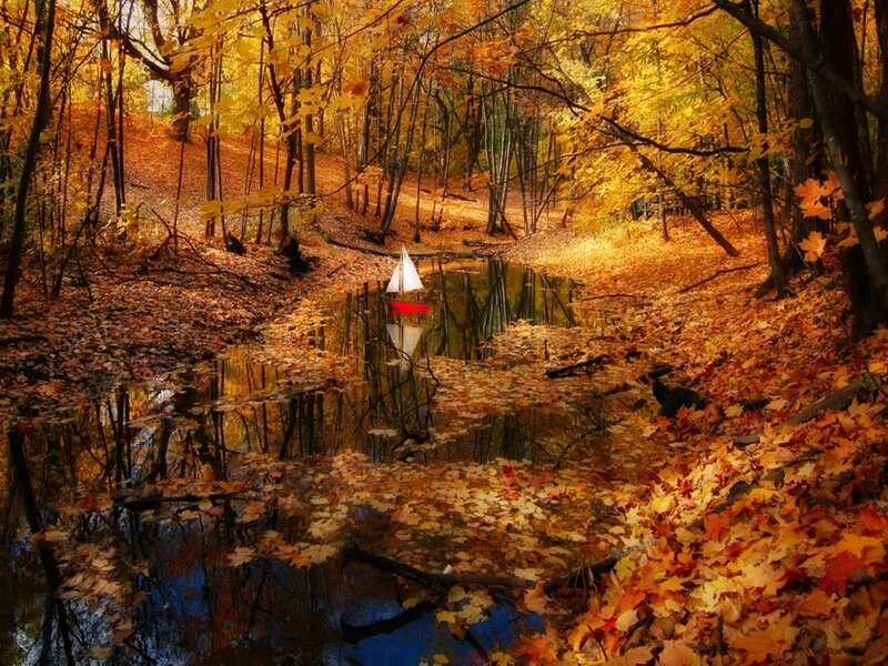 Sailboat in Autumn Pond