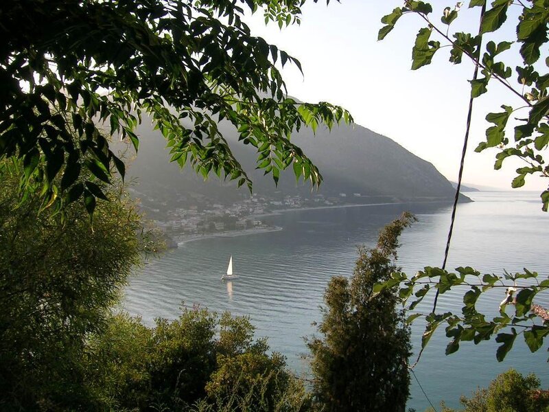 Sailboat in Bay — Green