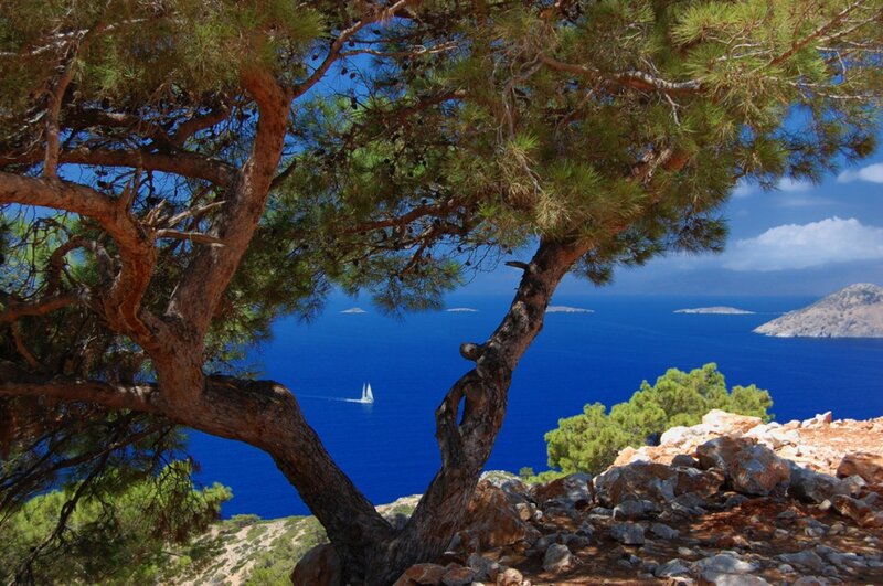 Sailboat in Blue Sea — Serene, Afternoon, Photograph, Tree