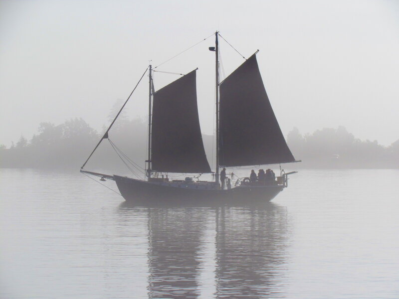 Sailboat in Fog — Gray