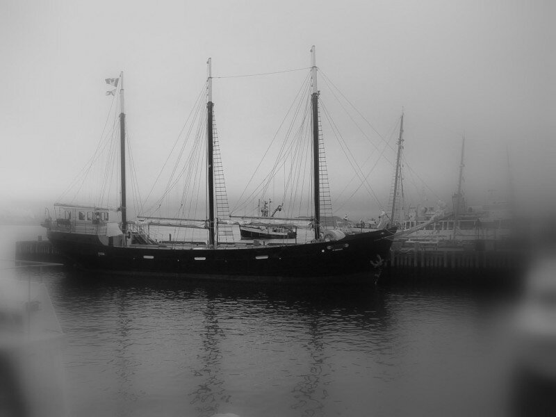 Sailboat in Harbor — Black