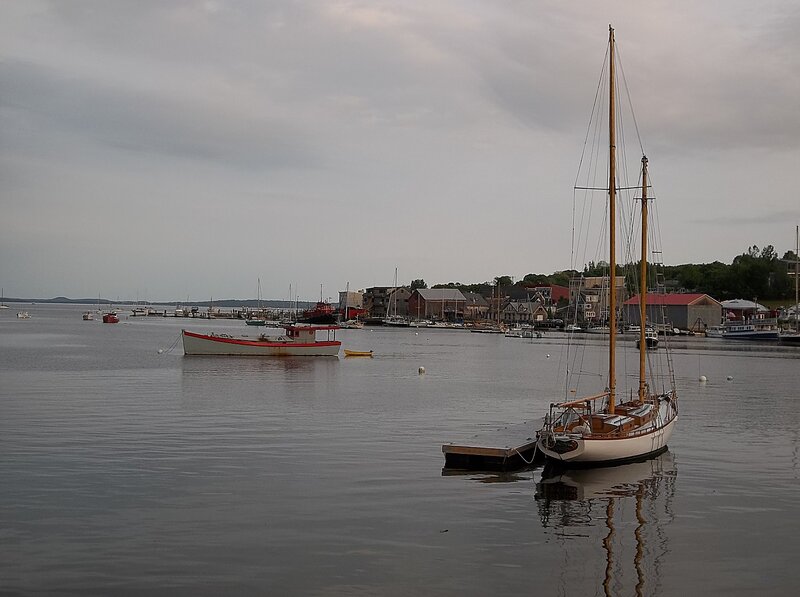 Sailboat in Harbor — Gray, Calm
