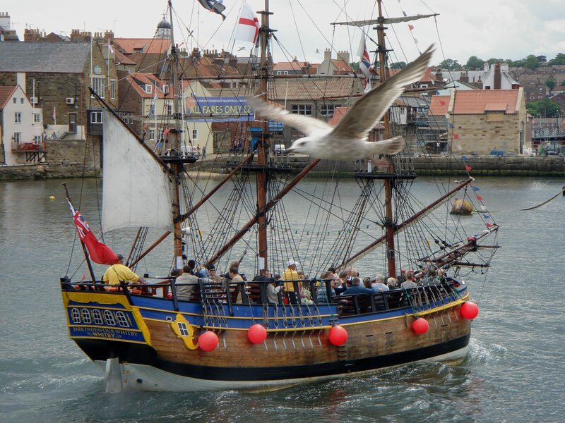 Sailboat in harbor with seagull
